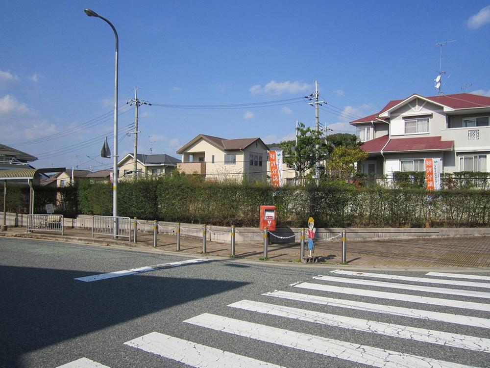 Local photos, including front road. Local (11 May 2013) Shooting