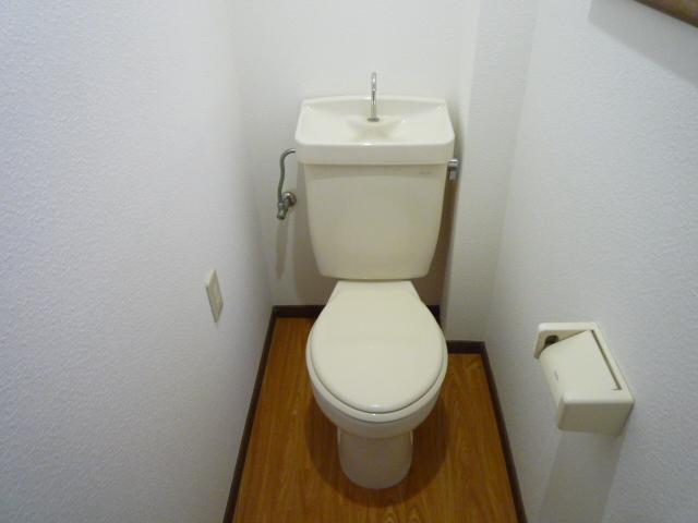 Toilet. First floor toilet