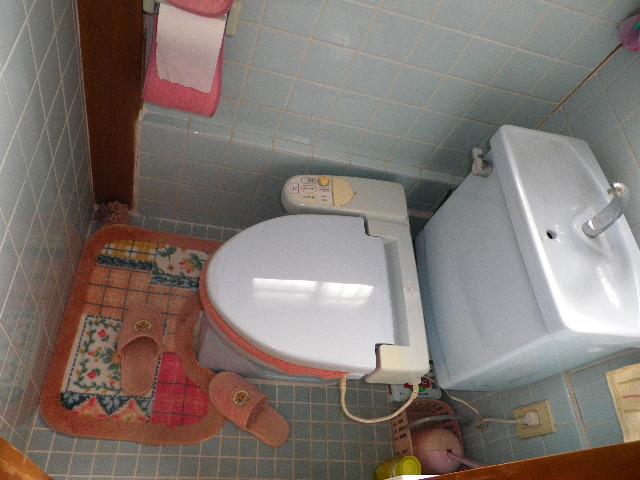 Toilet. Indoor (February 2013) Shooting