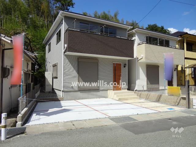 Local appearance photo. appearance