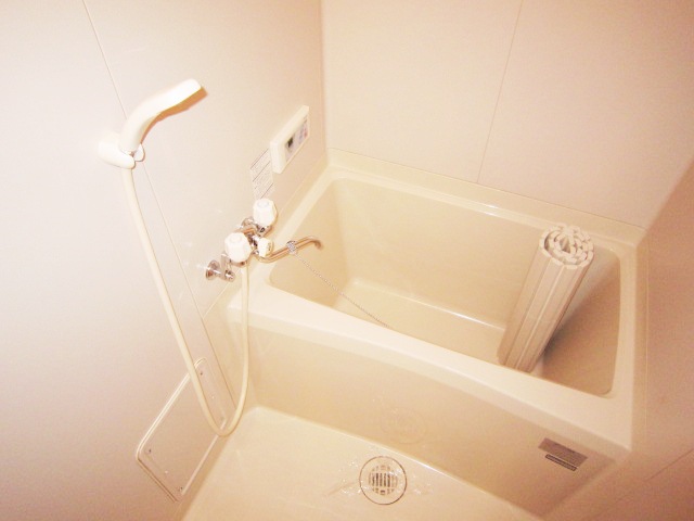 Bath. bus, Toilet by type