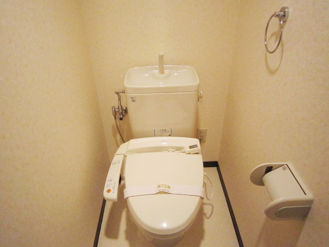 Toilet. Bidet