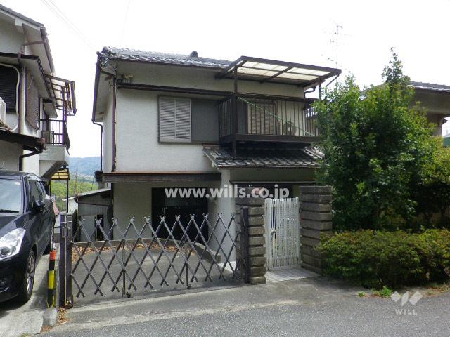 Local appearance photo. Property appearance (from the west)