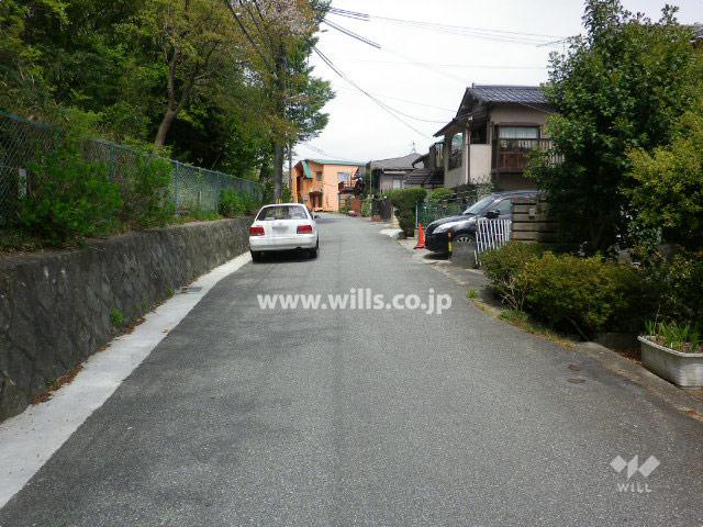 Local photos, including front road. Front road of Property