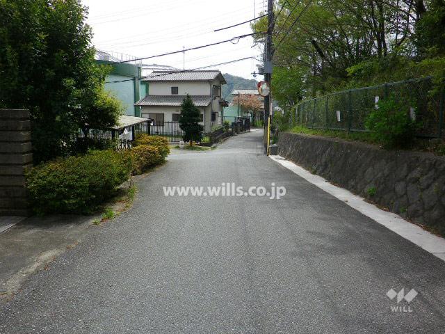 Local photos, including front road. Front road of Property