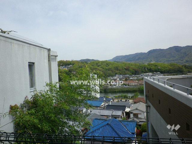 View photos from the dwelling unit. View from property (east direction)