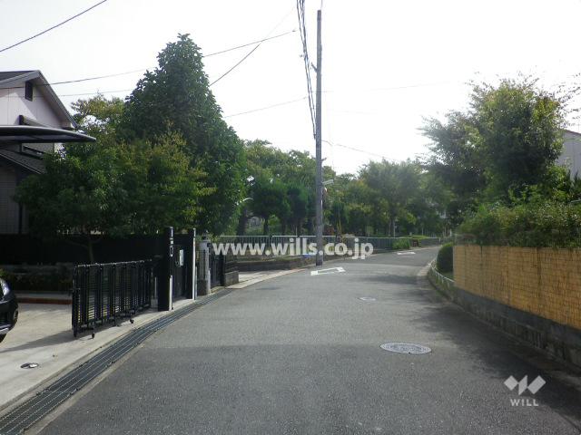 Local photos, including front road. Frontal road