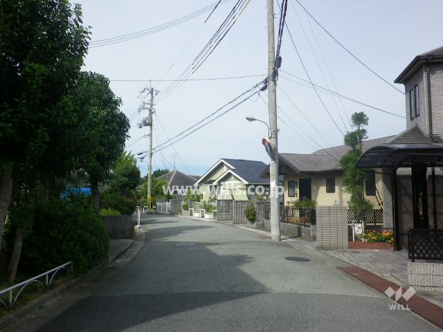Local photos, including front road. Frontal road