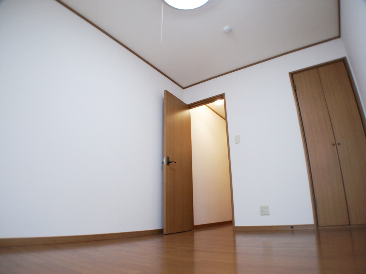 Living and room. Clean room