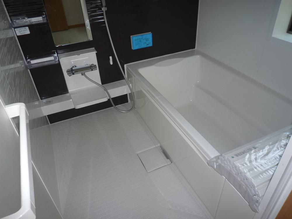 Bathroom. Local (September 2013) Shooting