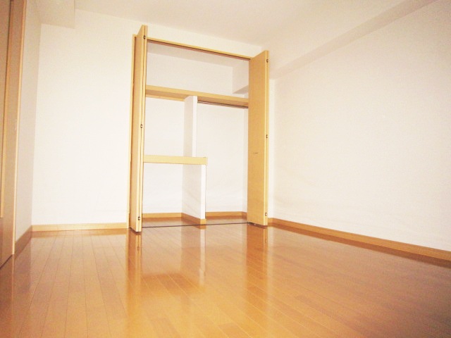 Other room space. Also outfitted closet in each room