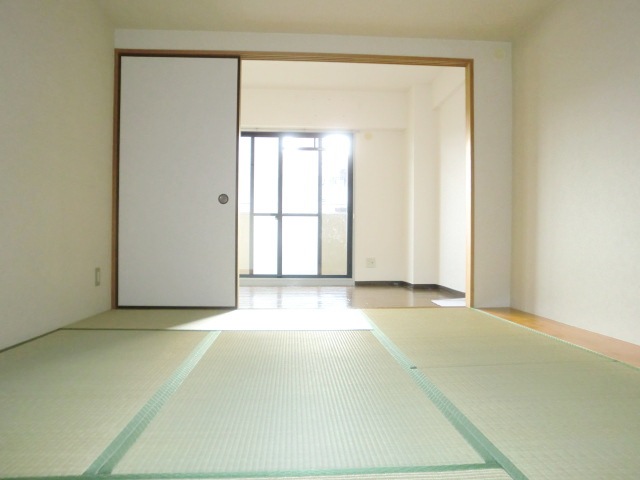 Other room space. Is a Japanese-style room