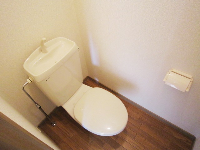 Toilet. A clean toilet