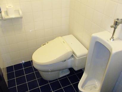 Toilet. Room (May 2013) Shooting