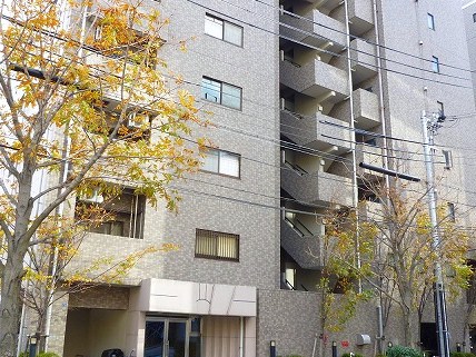 Other. It is the living environment preeminent ☆