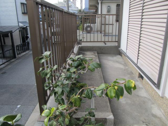 Local appearance photo. (December 2013) Shooting