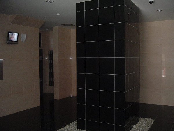 Entrance. elevator hall