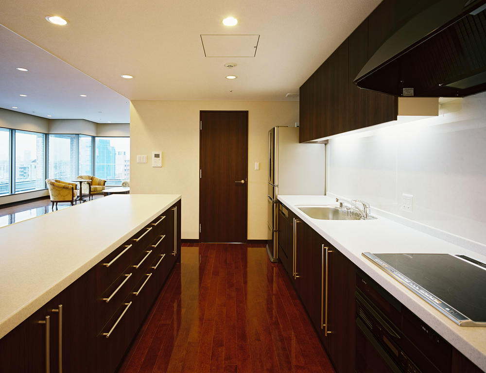 Kitchen. 6-neck IH stove, Microwave Oven, Dishwasher