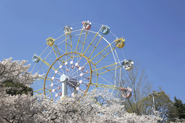 Surrounding environment. Municipal Oji Zoo (a 12-minute walk ・ About 950m)