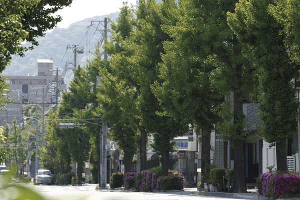 Surrounding environment. Local neighborhood of streets (1-minute walk ・ About 30m)