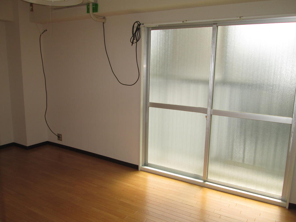 Living and room. Day is good.