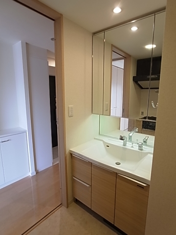 Washroom. Independent washroom type of wash room