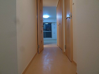 Entrance. Western style room