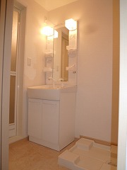 Washroom. Shampoo dresser