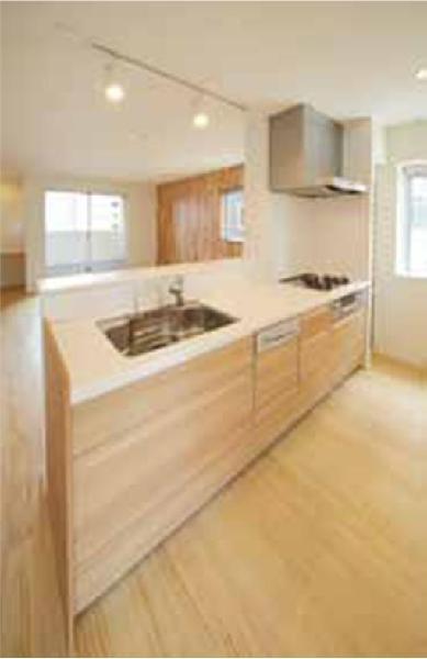 Kitchen. Indoor (11 May 2013) Shooting