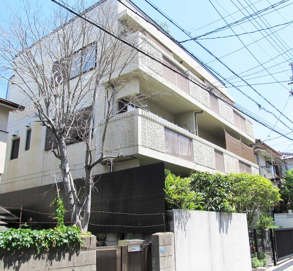 Local appearance photo. Local (May 2012) shooting