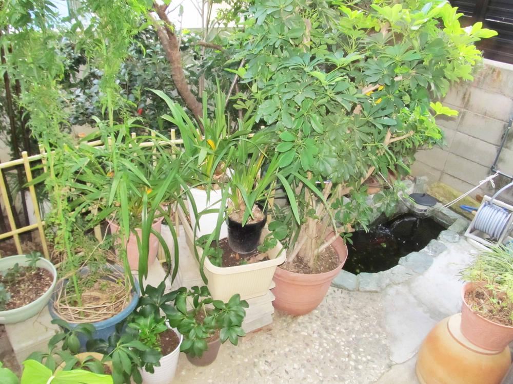 Other local. Local (2013 11) shooting