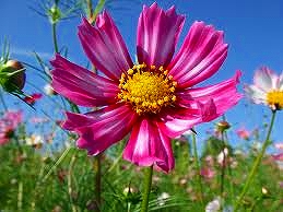 park. 189m to the park (park)