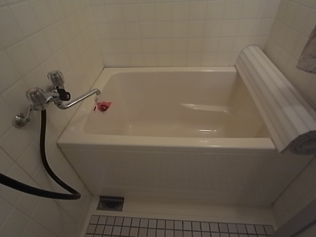 Bath. Clean bath