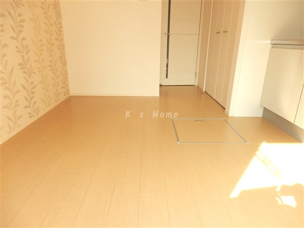 Other room space. Western style room