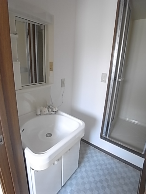 Washroom. Independent wash basin with shampoo dresser