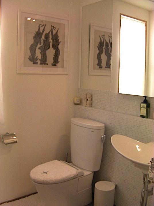 Toilet. Indoor (12 May 2013) Shooting