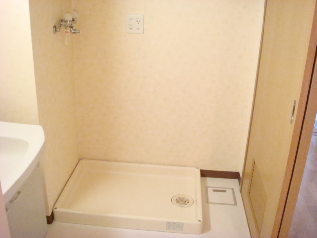 Washroom. This washing machine Storage