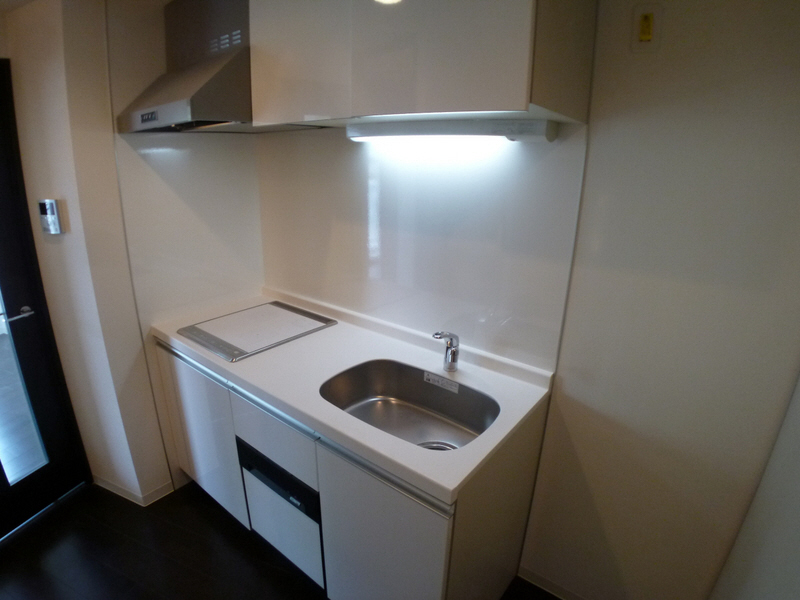 Kitchen. What a system kitchen with a dishwasher