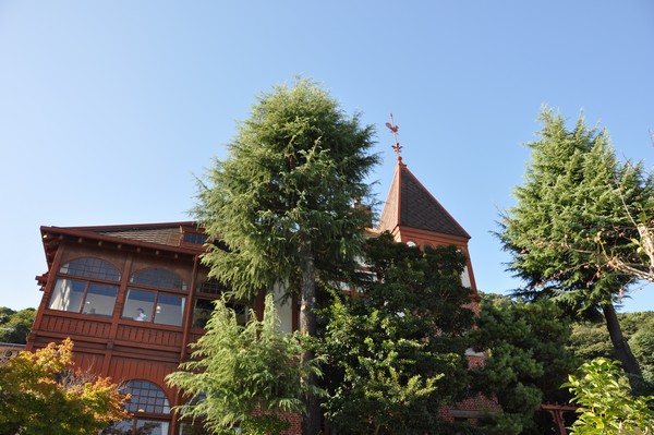 Surrounding environment. House of weathercock (bicycle about 7 minutes ・ About 1400m) ※ 7