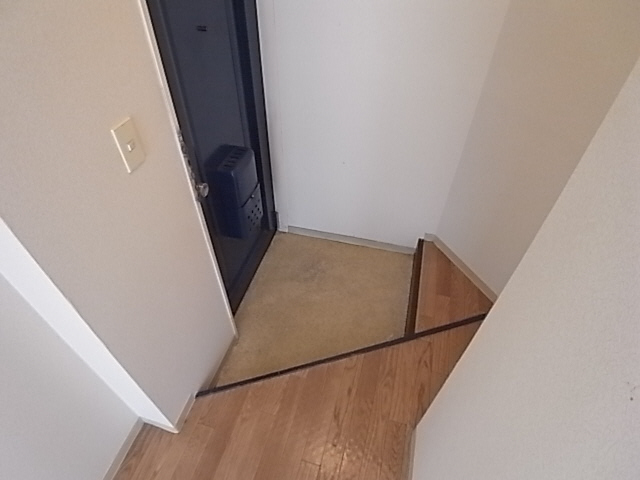 Entrance. Reference image (It is a photograph of the other in Room)