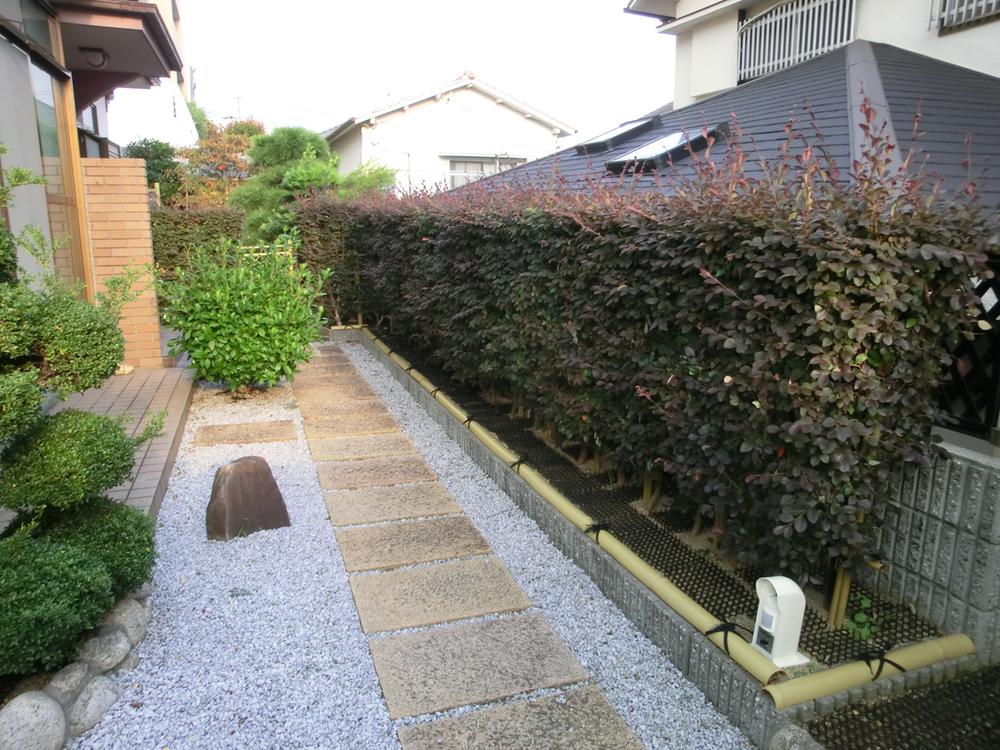 Garden. Local (20 October 2012) shooting