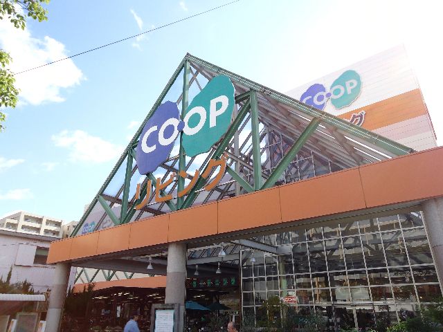 Other. Co-op living if life supplies