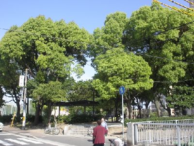 Other. 500m to Fukuike park