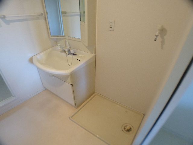 Washroom. Washbasin with a shampoo dresser