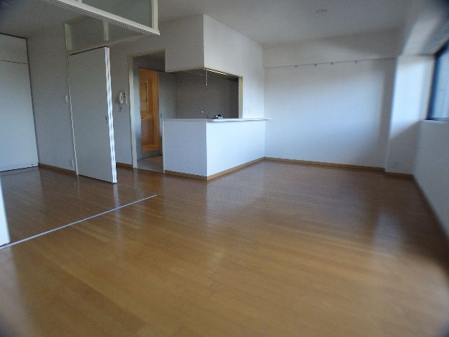 Living and room. LDk is wide because only in some about 14 Pledge