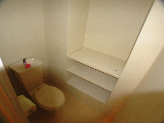 Toilet. This is useful when there is a shelf in toilet