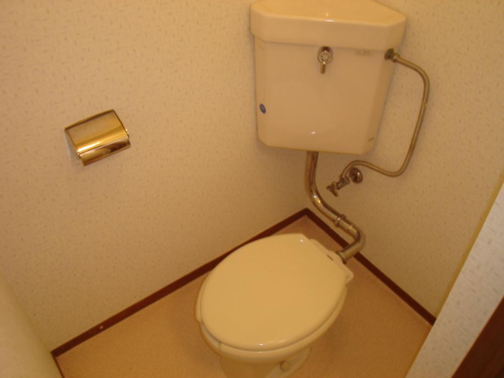 Toilet. Clean toilets