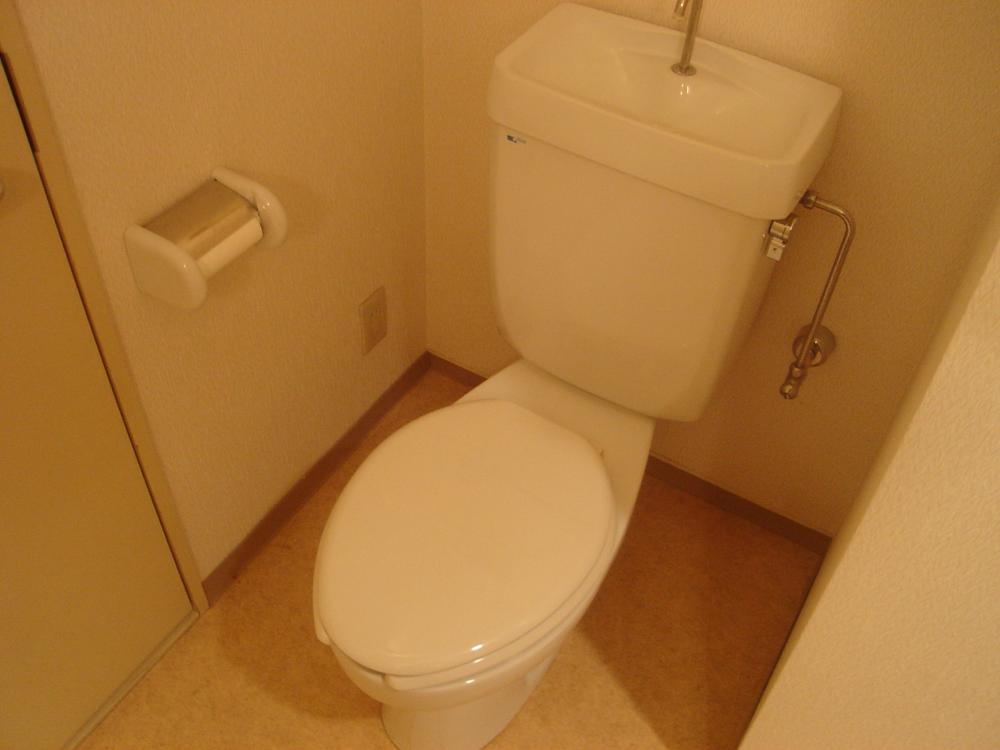 Toilet. Clean toilets