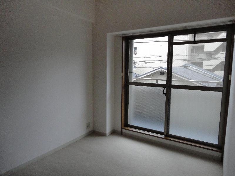 Other. Western-style (4.8 quire)