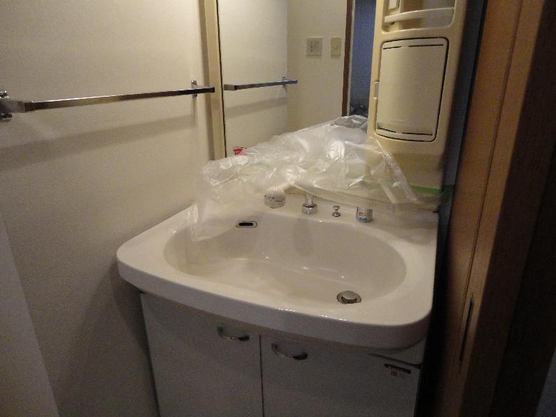 Washroom. Bathroom vanity